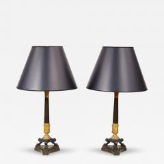 A Pair of Fine French Table Lamps - 4333140