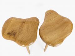 A Pair of French Organic Modern Stools or Side Tables In Elm and Oak - 1205054