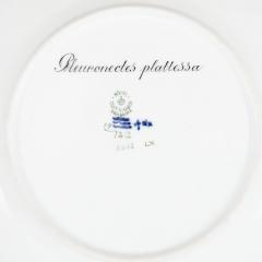 A Royal Copenhagen Ichthyological porcelain part dinner fish service - 3037264