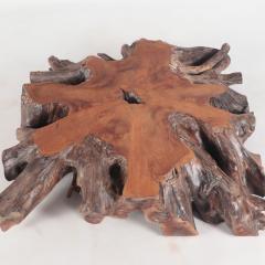 A Solid Tree Slab Root Coffee Table with burnt wood finish - 2749549