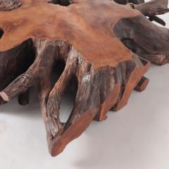 A Solid Tree Slab Root Coffee Table with burnt wood finish - 2749550