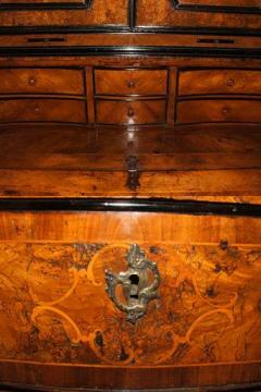 A Stately 18th Century Lombardy Olivewood Secretaire - 3501262