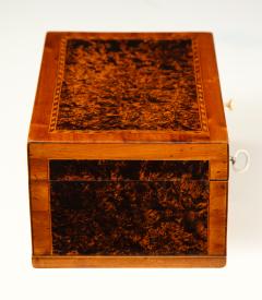 A Swedish Alder Root Box Early 19th Century - 875699