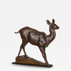 A Young African Kudu 2001 Dan Ostermiller - 4412801