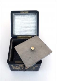 A charming English regency Japanned square form tea caddy - 754442