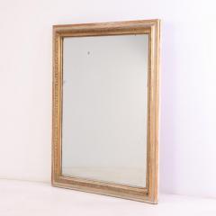 A large French painted and gilt mirror C 1880  - 4270366