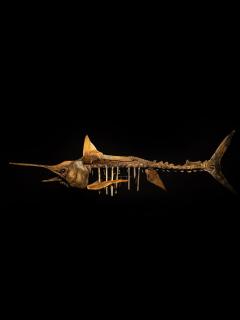 A large handmade wooden sculpture study of a Marlin in skeletal form - 4339191