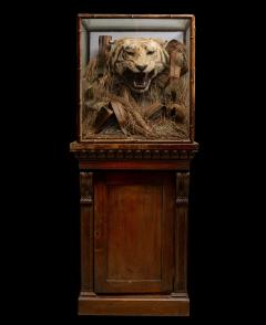 A pair of 19th C cased Indian Tiger Trophies Rowland Ward Bamboo style - 4703900