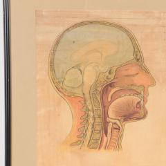 A rare framed antique English First Aid poster circa 1900  - 3060617