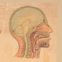 A rare framed antique English First Aid poster circa 1900  - 3060620