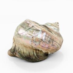 A scrimshaw turban shell carved with the Leviathan - 2509958