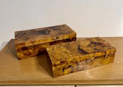 A set of Two Palma Boxes Crafted from brown Crackled Shell  - 4398271