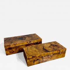 A set of Two Palma Boxes Crafted from brown Crackled Shell  - 4399073