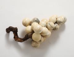 ALABASTER GRAPES - 3997447