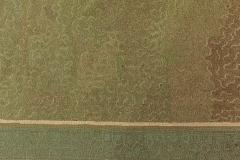 AMERICAN HOOKED RUG - 2445879