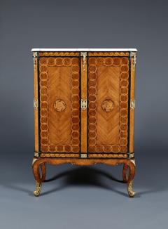 AN EXQUISITE TRANSITIONAL PERIOD TWO DOOR COLLECTION CABINET - 3632161