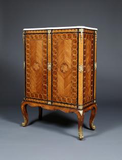 AN EXQUISITE TRANSITIONAL PERIOD TWO DOOR COLLECTION CABINET - 3632163