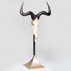 ANTELOPE HUNTING TROPHY MOUNTED ON A ZINC STAND  - 2706738