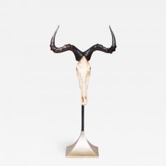 ANTELOPE HUNTING TROPHY MOUNTED ON A ZINC STAND  - 2709923