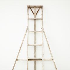 ANTIQUE FRUIT PICKING LADDER - 2407677