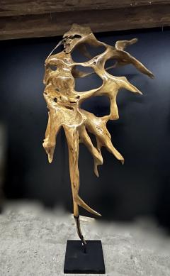 Abstract Mahogany Root Sculpture Laquered on Black Metal Stand 2022 - 3468172