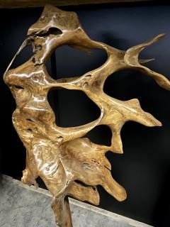 Abstract Mahogany Root Sculpture Laquered on Black Metal Stand 2022 - 3468173