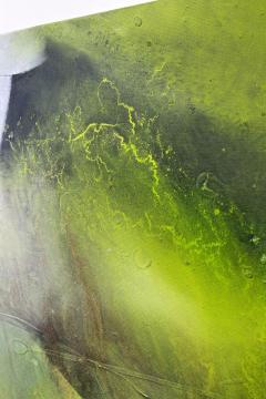 Abstract Painting Crawfish vs Turtle Acrylic On Canvas by MS Austria 2021 - 3977952