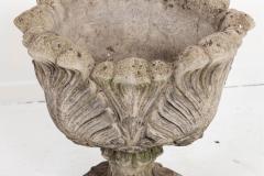 Acanthus Leaf Planter - 1545052