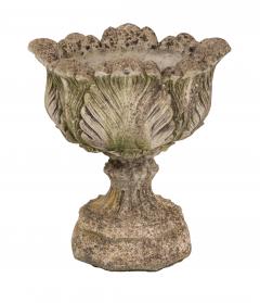 Acanthus Leaf Planter - 1547814