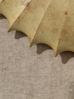 Achille Castiglioni Castiglioni Italian 1960 Mid Century Light - 4484423