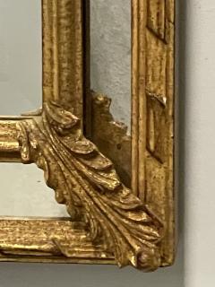 Adams Style Wall Console Pier Mirror Giltwood Floral Motif - 3020838