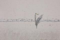 Adja Yunkers Adja Yunkers Drifting Whiteness 1975 68 x 50  - 4293193