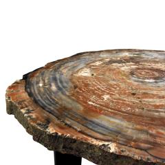 Ado Chale Ado Chale Rare Fossilized Wood Top Coffee Table 1960s - 757626