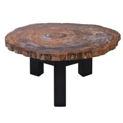 Ado Chale Ado Chale Rare and Iconic Fossilized Wood Top Table 1960s - 4212599