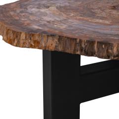 Ado Chale Ado Chale Rare and Iconic Fossilized Wood Top Table 1960s - 4212600