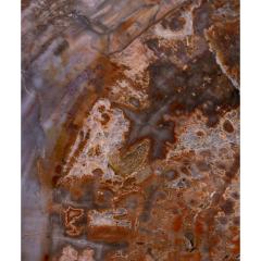 Ado Chale Ado Chale Rare and Iconic Fossilized Wood Top Table 1960s - 4212602