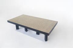 Ado Chale Mid Century Modern Pepper Coffee Table by Ado Chale - 3185301