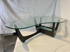 Adrian Pearsall Adrian Pearsall Planter Coffee Table Organic Glass top 1960s USA - 2475500