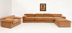 Afra Tobia Scarpa Mid Century Erasmo Sofa by Afra Tobia Scarpa for B B Italia - 2995118