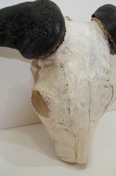 African Gnu Skull - 157537