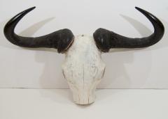 African Gnu Skull - 157540