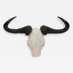 African Gnu Skull - 158078