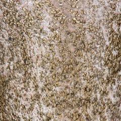 Alberto Dona Brass inclusion blown glass by Alberto Dona - 4093054