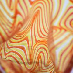 Alberto Dona Studio with orange strips decor glass vase by Alberto Dona - 4091765