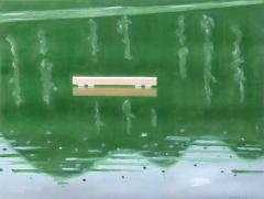 Alex Katz The Raft - 4770819