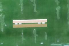 Alex Katz The Raft - 4770822