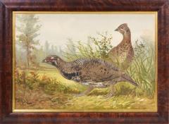 Alexander Pope Jr 1849 1924 Game Birds  - 2231655