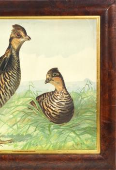 Alexander Pope Jr Game Birds  - 2303629