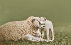 Alexandra Klimas A Mothers Love and Security II - 4450235