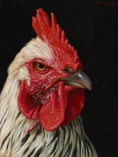 Alexandra Klimas Charlie the Rooster Enough Clucking  - 4751961
